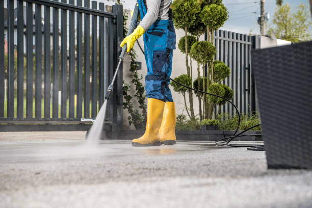 Best Gutter Cleaning  in Arcadia, FL